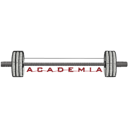 Matriz de Bordado Logotipo academia 2